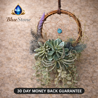 Dream Catchers ( Clearance Sale)